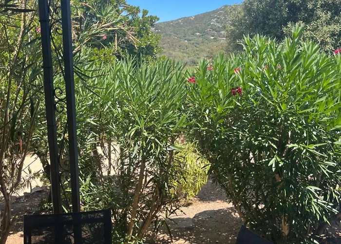 Cala Longa - Porto Vecchio